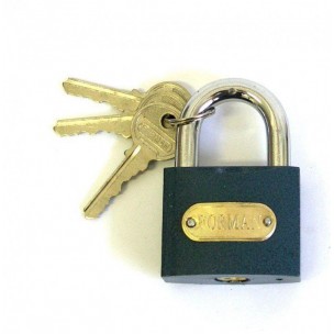 Zam.vis. 12-25 Forman Fe